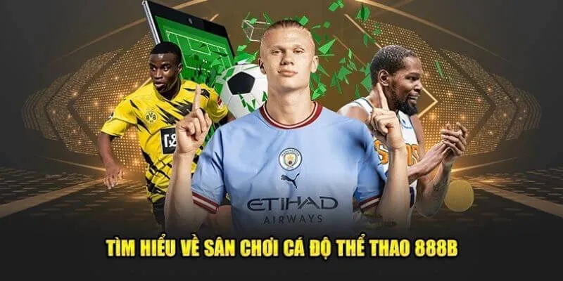 888B | Link Vào 888B.COM Không Chặn Tháng 7/2025 31 Thể thao niềm tự hào của game 888b