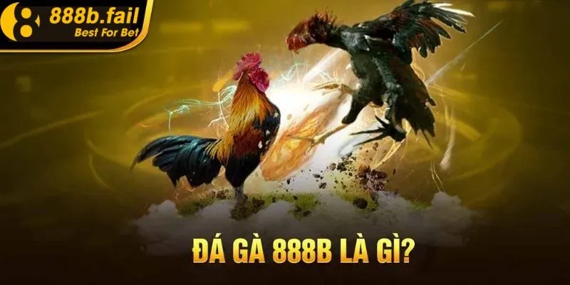đá gà 888b 1 Đá gà 888b là hình thức cá cược đem lại sự nổ cho người chơi